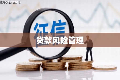 新和贷款风险管理