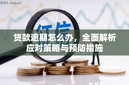 新和贷款逾期怎么办，全面解析应对策略与预防措施