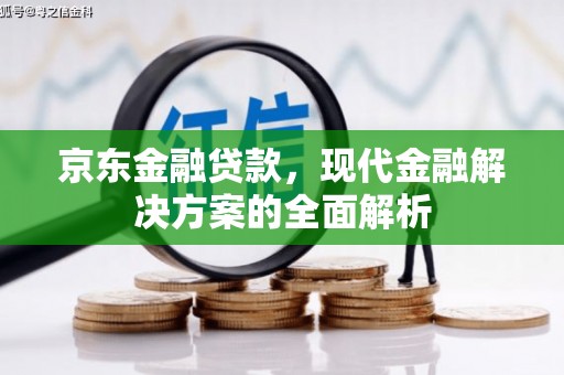新和京东金融贷款，现代金融解决方案的全面解析