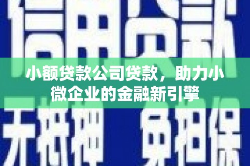 新和小额贷款公司贷款，助力小微企业的金融新引擎