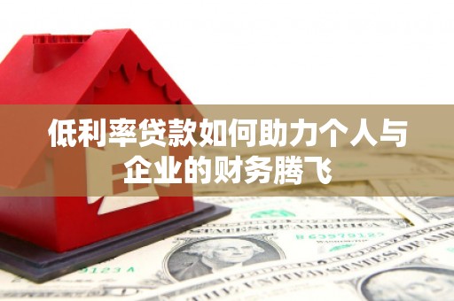 新和低利率贷款如何助力个人与企业的财务腾飞