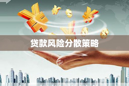 新和贷款风险分散策略