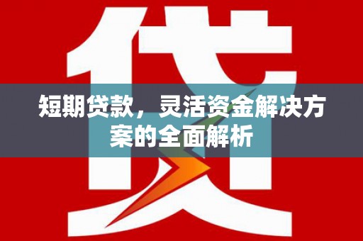 新和短期贷款，灵活资金解决方案的全面解析