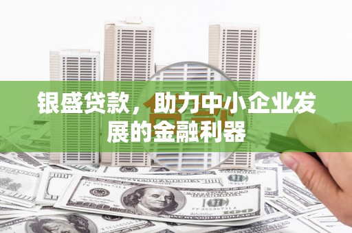 新和银盛贷款，助力中小企业发展的金融利器