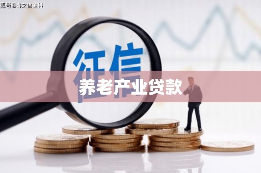 新和养老产业贷款