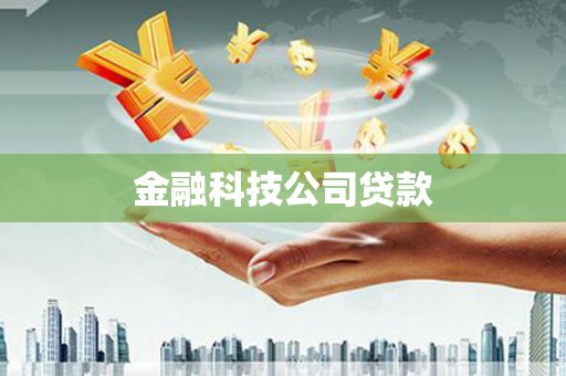新和金融科技公司贷款