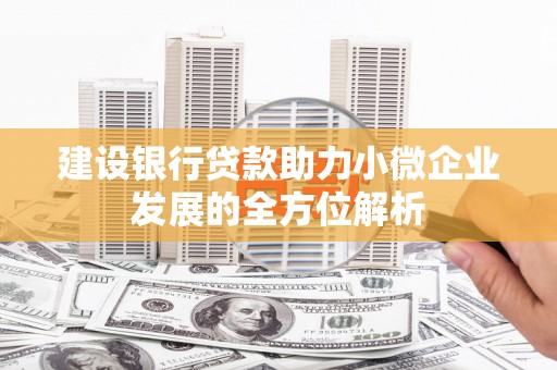 新和建设银行贷款助力小微企业发展的全方位解析