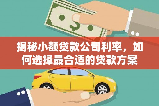 新和揭秘小额贷款公司利率，如何选择最合适的贷款方案