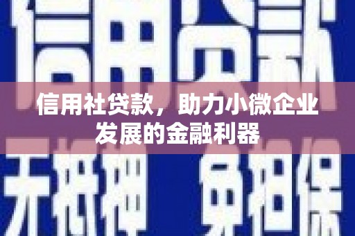 新和信用社贷款，助力小微企业发展的金融利器