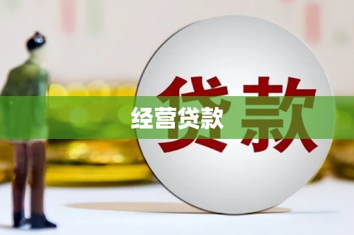 新和经营贷款