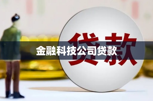 新和金融科技公司贷款