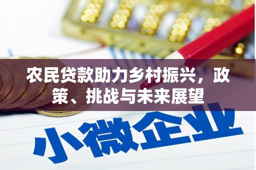 新和农民贷款助力乡村振兴，政策、挑战与未来展望