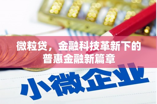 新和微粒贷，金融科技革新下的普惠金融新篇章