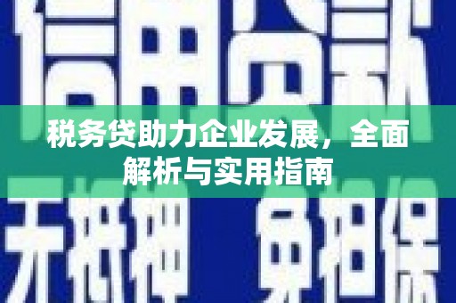 新和税务贷助力企业发展，全面解析与实用指南