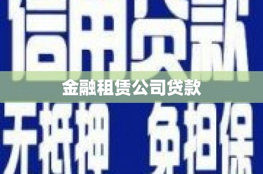 新和金融租赁公司贷款