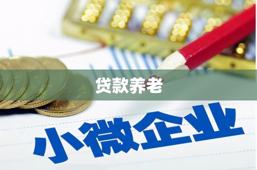 新和贷款养老