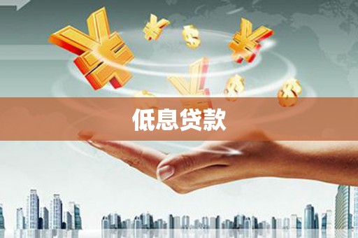 新和低息贷款