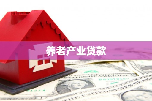 新和养老产业贷款