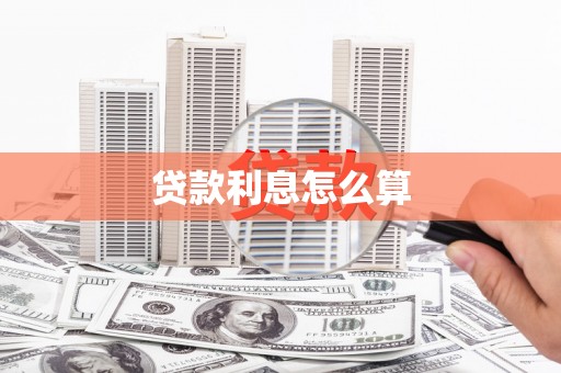 新和贷款利息怎么算