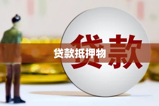 新和贷款抵押物