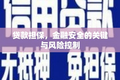 新和贷款担保，金融安全的关键与风险控制