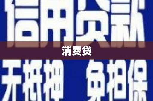 新和消费贷