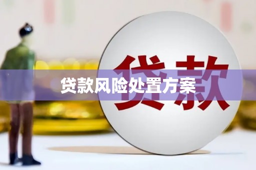 新和贷款风险处置方案
