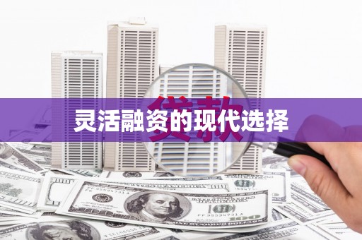 新和灵活融资的现代选择