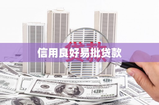 新和信用良好易批贷款