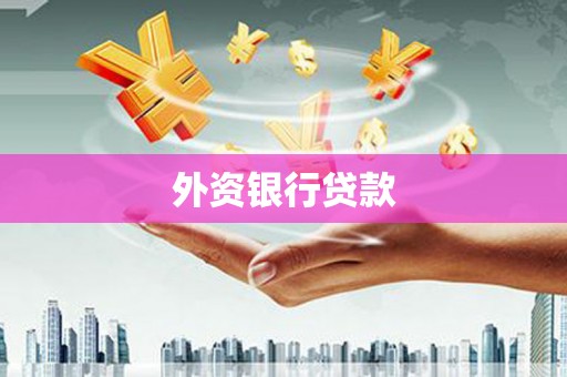 新和外资银行贷款